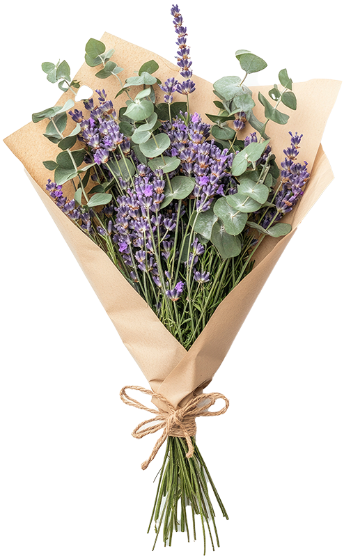 Fleurs séchées lavande